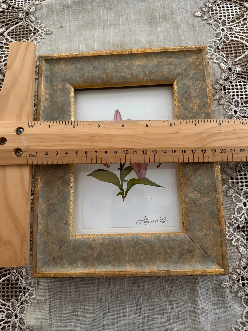 Thompson frame retail
